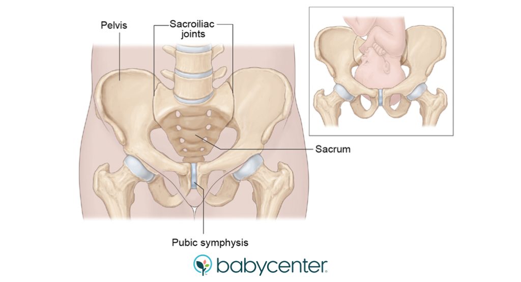 round ligament hip