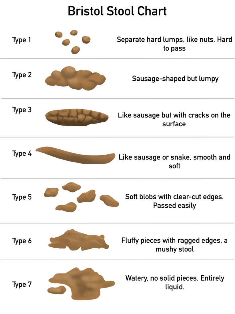 bristol-stool-chart-with-faesces-type-classification-vector-my-xxx