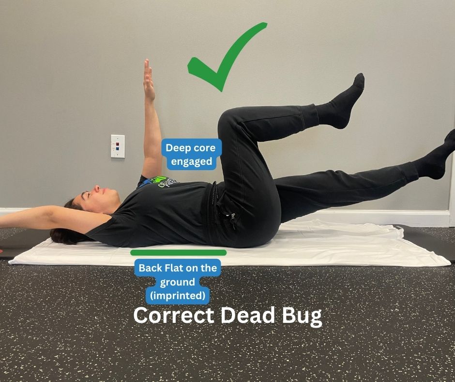 Common Exercises Correct Dead Bug