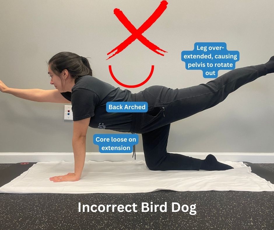 Common Exercises Incorrect Bird Dog